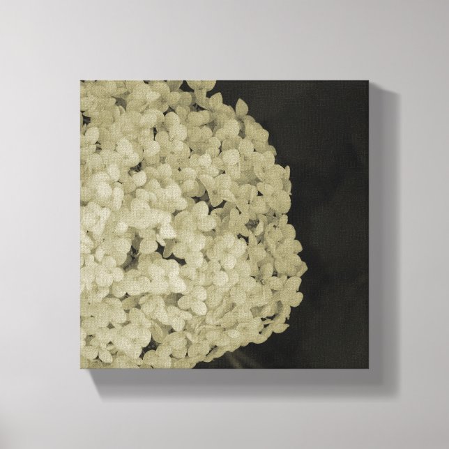 Dibujo de la fotografía de la flor de lienzo envue (Anverso)