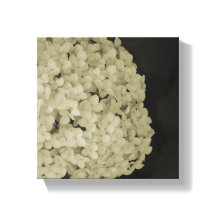 Dibujo de la fotografía de la flor de lienzo envue