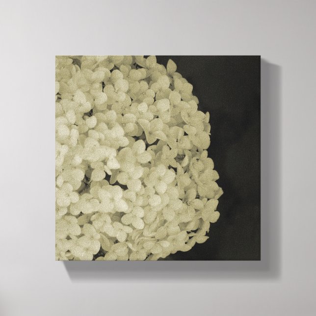 Dibujo de la fotografía de la flor de lienzo envue (Anverso)