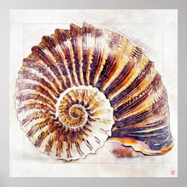 Dibujo de la shell de Nautilus - Impresión artísti (Frente)