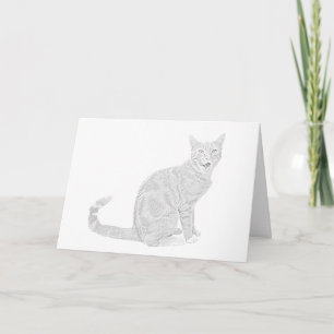 Dibujo de lápiz Tabby Tarjeta de saludo de gato