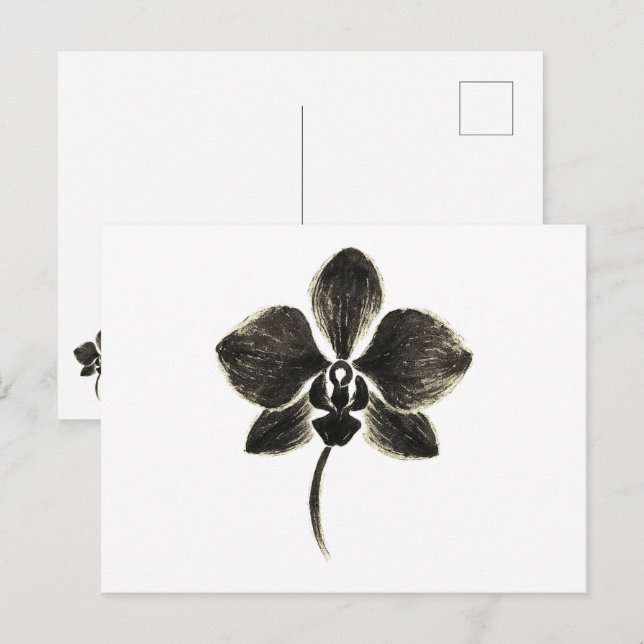 Dibujo de línea orquídea - Postales botánicas (Anverso / Reverso)