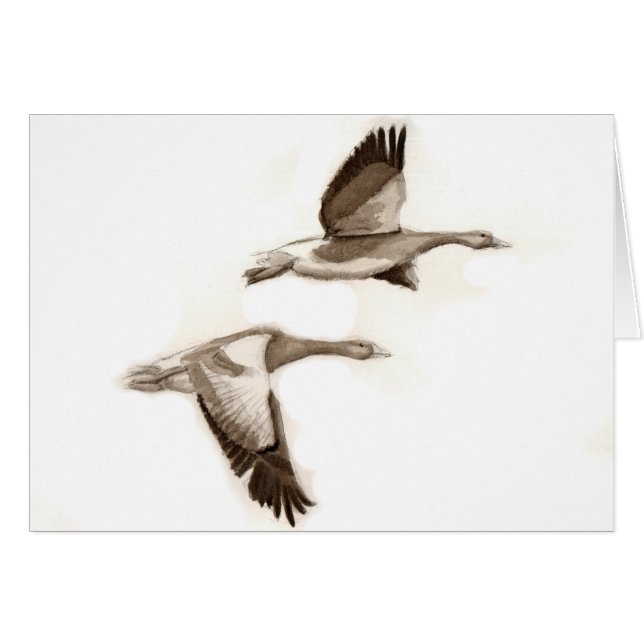 Dibujo de los gansos del vuelo (Anverso (Horizontal))