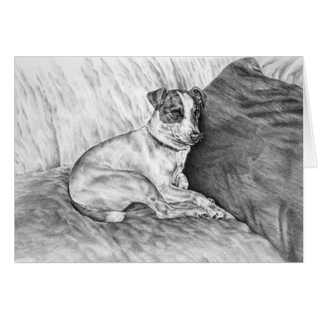 Dibujo de perro Jack Russell Terrier por Kelli Swa (Anverso (Horizontal))
