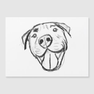 dibujo de pitbull simple amantes de perros blanco 
