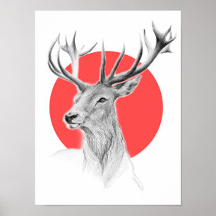 Dibujo de retrato de ciervo Círculo rojo Arte anim