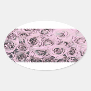 Dibujo de rosas rosadas Pegatinas Óvalos