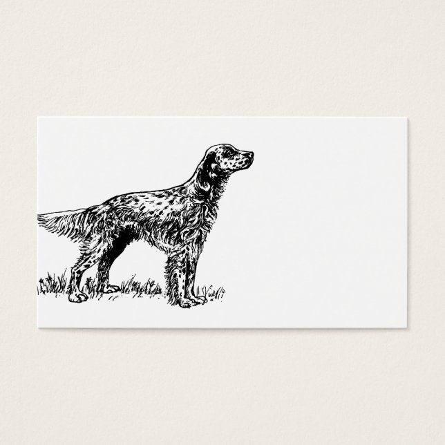 dibujo de setter en inglés.png (Frente)