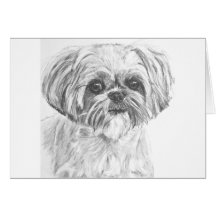 Dibujo de Shih Tzu