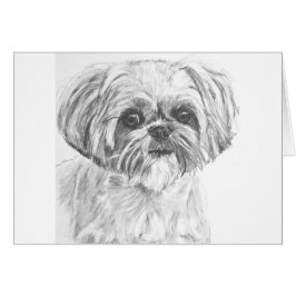 Dibujo de Shih Tzu