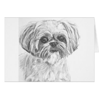 Dibujo de Shih Tzu