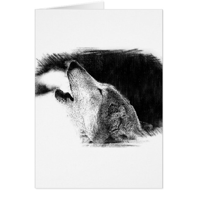 Dibujo de sketch de lobo gris negro y blanco (Frente)