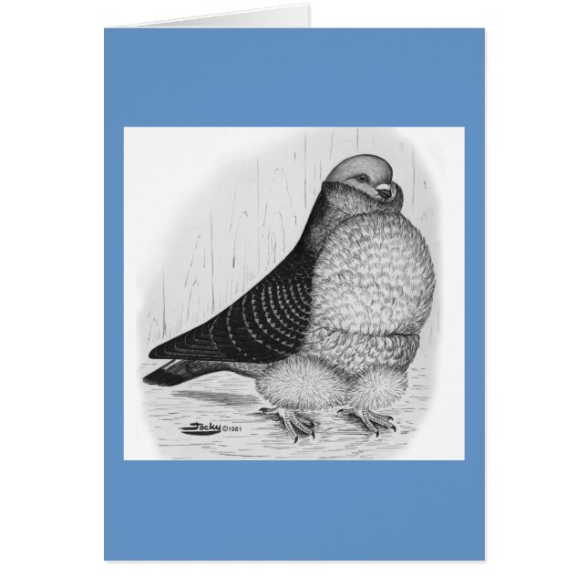 Dibujo de tinta de pichón de búho chino (Frente)