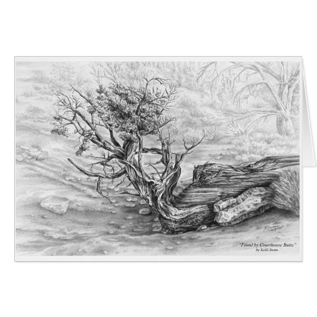 Dibujo de un árbol de Juniper del Suroeste por Kel (Anverso (Horizontal))