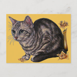 Dibujo de un gato con pañuelos en la postal