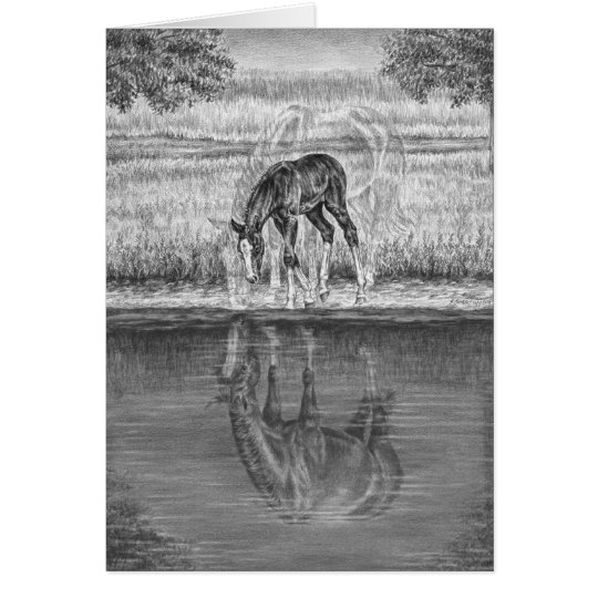 My Image 76