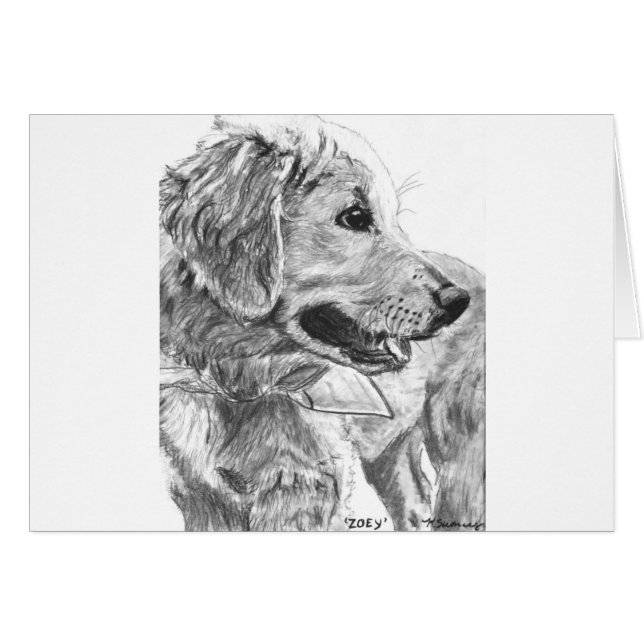 Dibujo del perrito del golden retriever (Anverso (Horizontal))