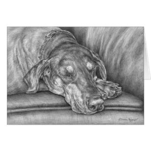 Dibujo del perro del Doberman el dormir por el