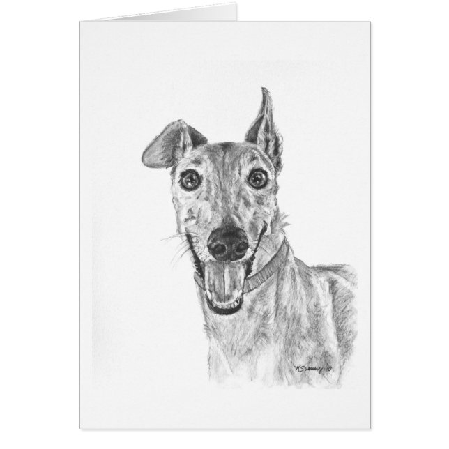 Dibujo del primer del galgo (Frente)