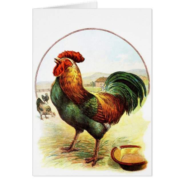 Dibujo del vintage: El gallo (Frente)