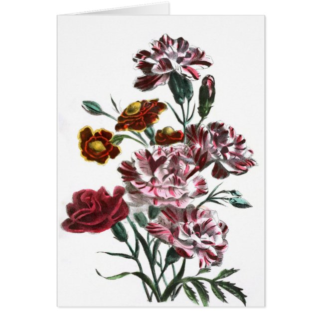 Dibujo del vintage: Flores rosadas flamencas (Frente)