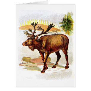 Dibujo del vintage: Reno en la nieve