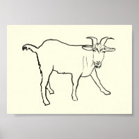 Dibujo Divertido de Cabra Arte Extravagante de Ani