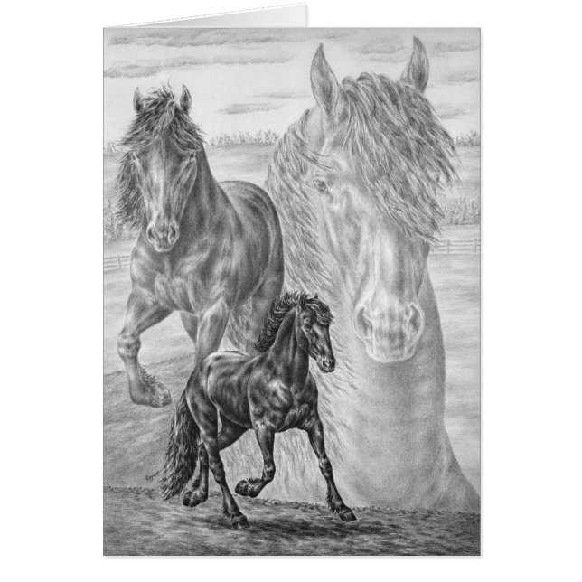 Dibujo frisón de caballos por Kelli Swan (Frente)