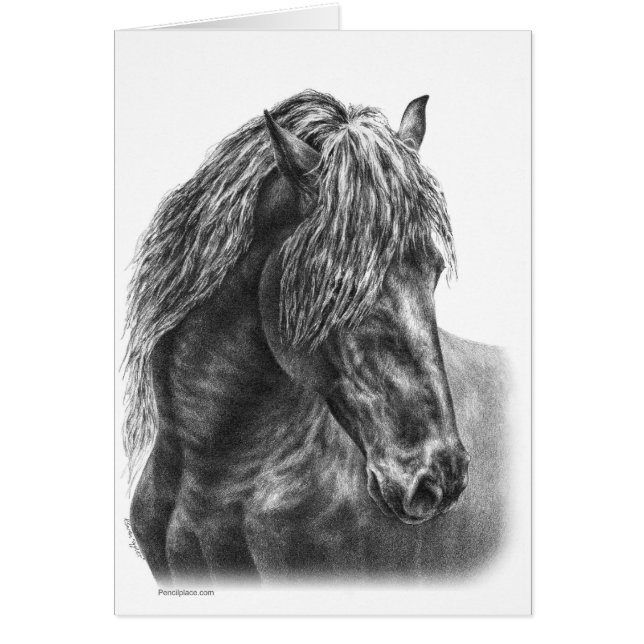 Dibujo frisón de retrato de caballo por Kelli Swan (Frente)