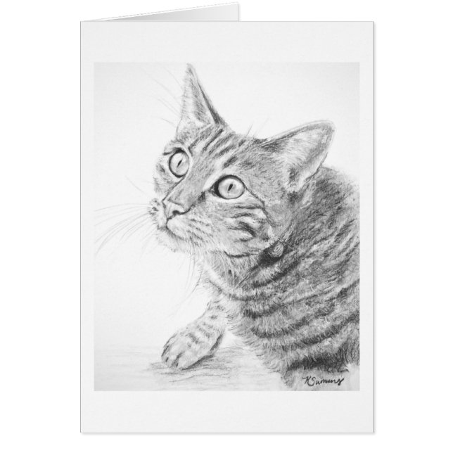 Dibujo gris del gato de Tabby (Frente)