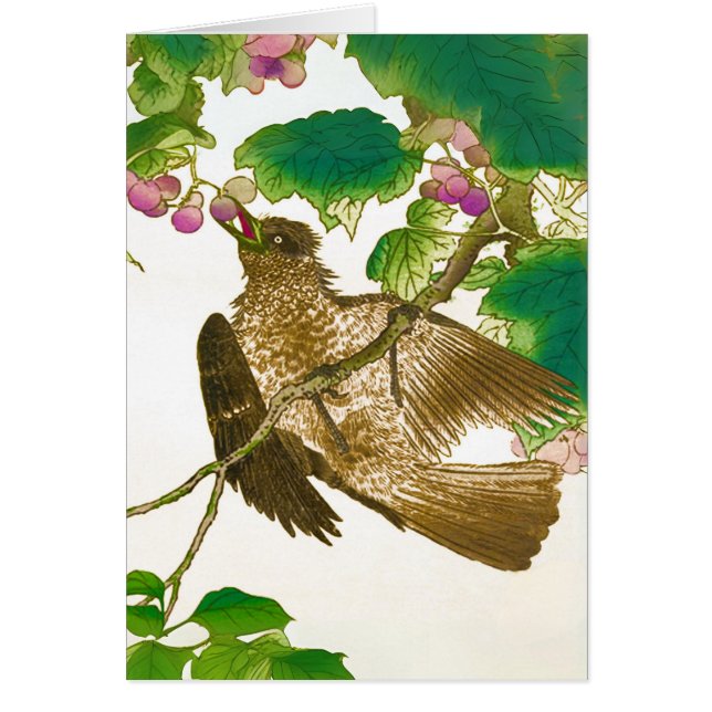 Dibujo japonés de Jay en una vid (Frente)