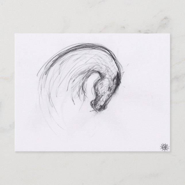 Dibujo original 2 tarjeta postal de Zodiac año cab (Anverso)