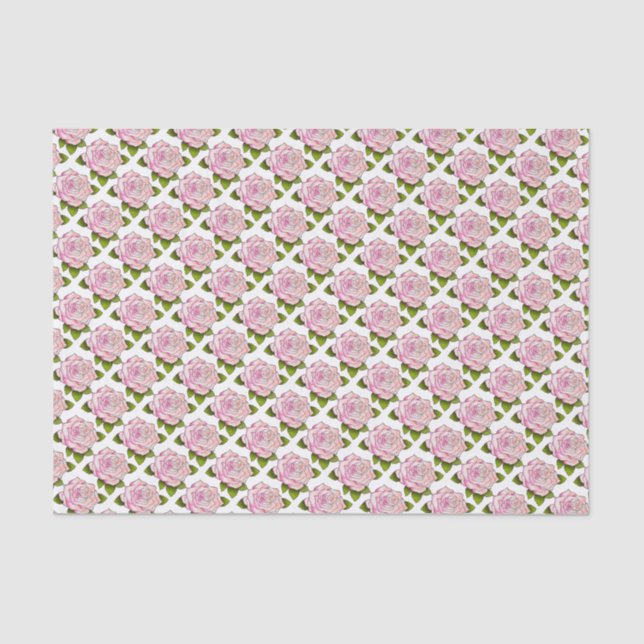 Dibujo rosa rosado de 10" x papel de tejidos de 15 (Anverso)