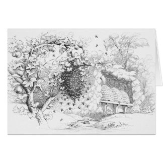 Dibujo Vintage Skep Bee Hives