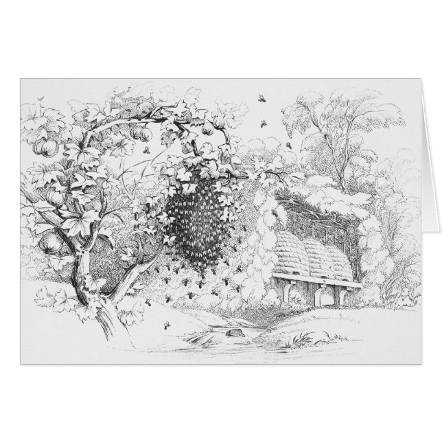 Dibujo Vintage Skep Bee Hives (Anverso (Horizontal))