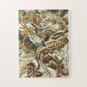 Dibujo zoológico Lizarras vintage Puzzle