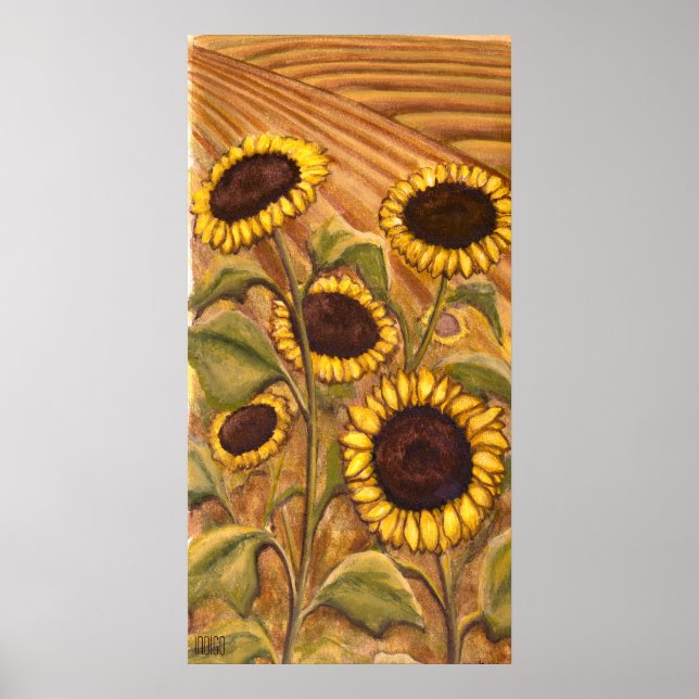 Dibujos de arte paisajístico de Canadá pintados co (Frente)