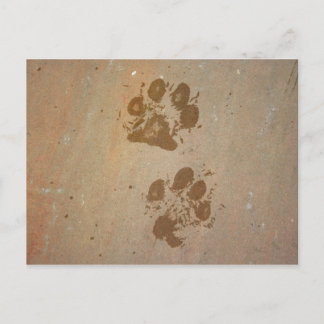 Dibujos en papel en la tarjeta postal de piedra