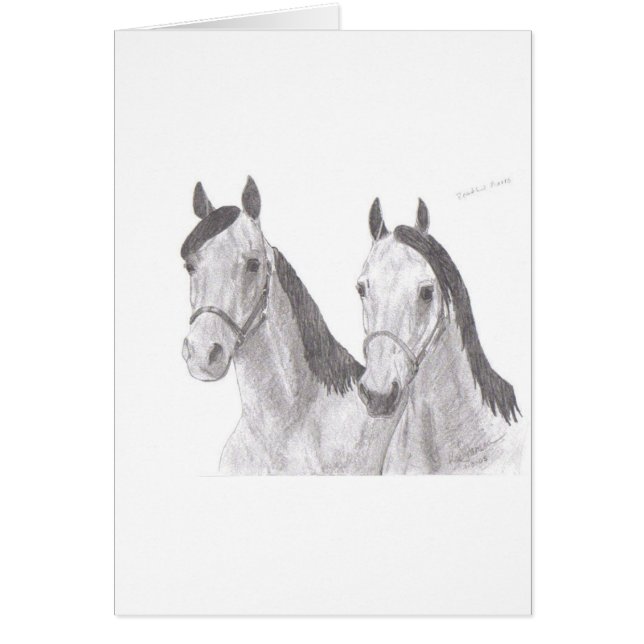 Dibujos hermosos del caballo de las yeguas (Frente)