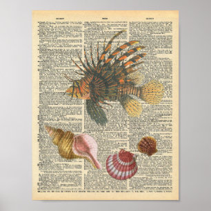 Diccionario vintage arte León pesca y conchas de p