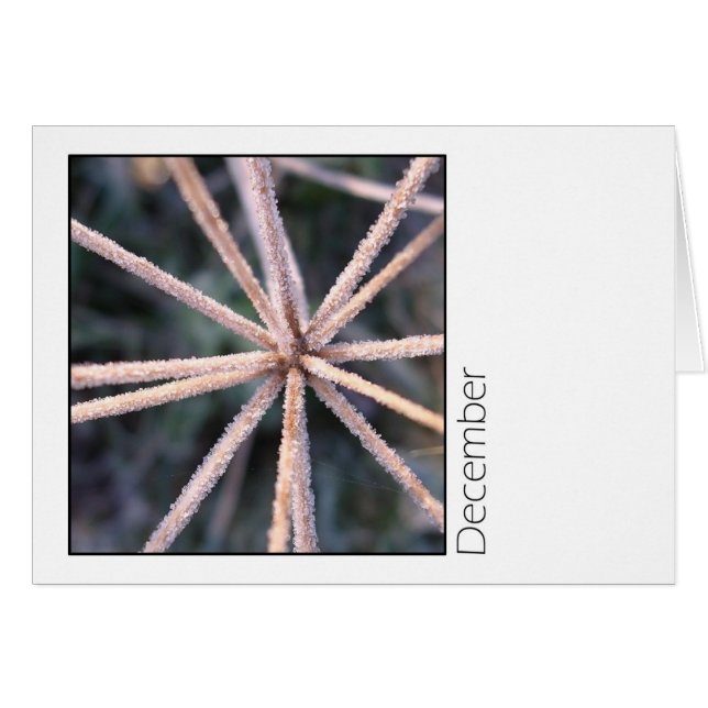 Diciembre (Anverso (Horizontal))