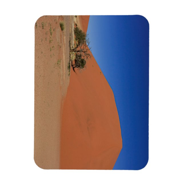 Die Dünen des Sossusvlei en el imán de Namibia (Vertical)