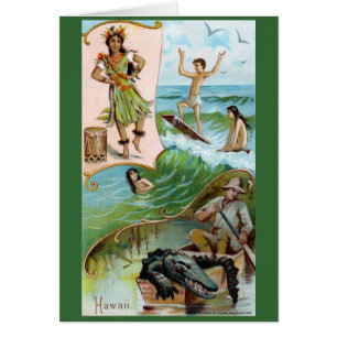 diecinueveavo C. Hawaii