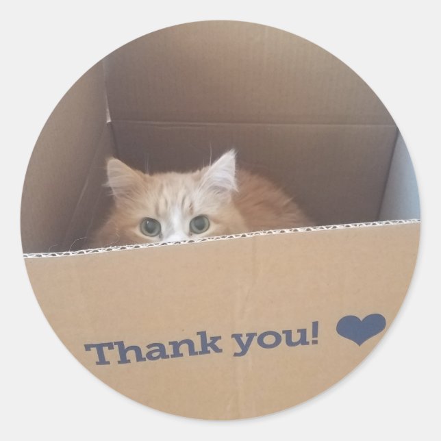 Diego el gato gracias Pegatina (Anverso)