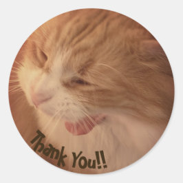 Diego el gato gracias Pegatinas