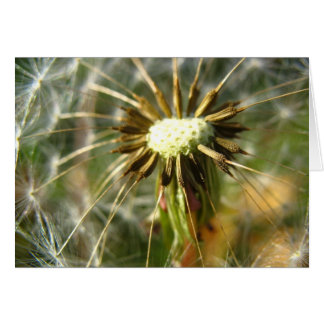 Diente de león