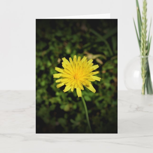 Diente de león, tarjeta (Anverso)