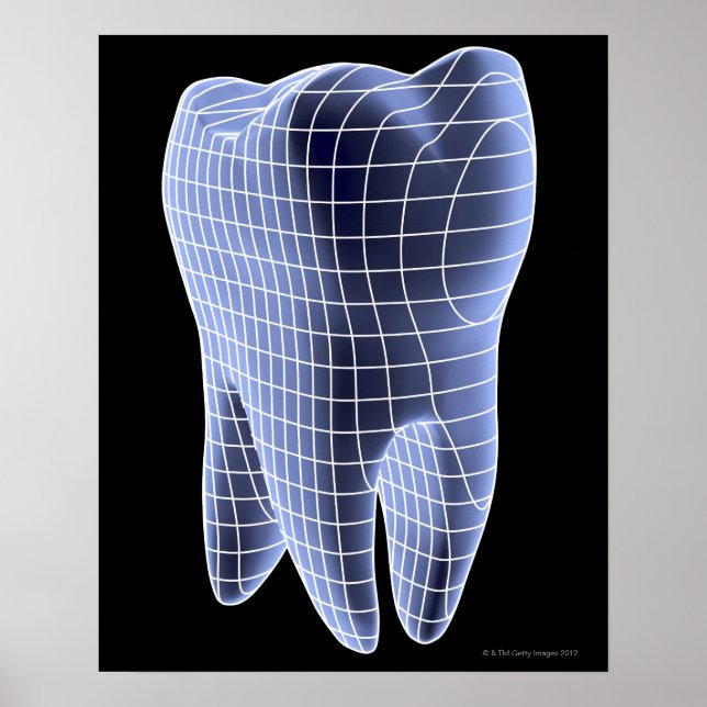 Dientes, arte informático de un diente molar (Frente)