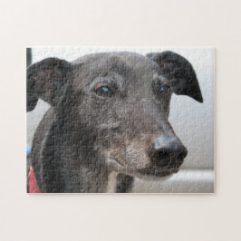Diesel del rompecabezas del galgo (p99)