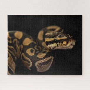 Difícil rompecabezas de serpientes